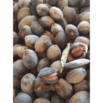 Mandorle 