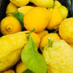 Limoncello