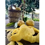 Organic Lemon Marmalade